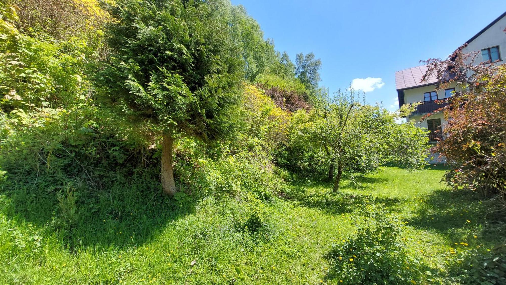 Apartament Miedzygorski Międzygórze Exterior foto
